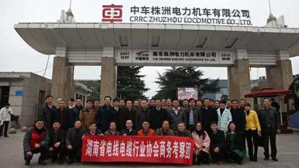 湖南省電線電纜行業(yè)協(xié)會(huì)理事會(huì)議在湘江電纜召開