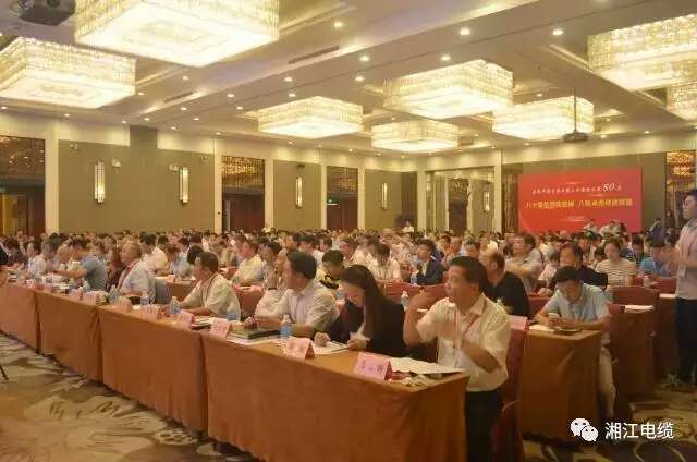 熱烈祝賀湘江電纜連續(xù)兩年入圍線纜行業(yè)競爭力100強