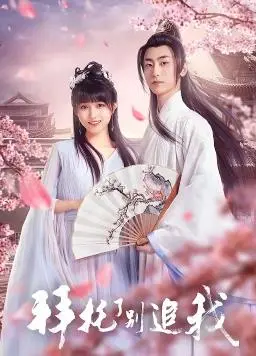 爆笑预警！《拜托了，别追我》：一场啼笑皆非的爱情追逐游戏