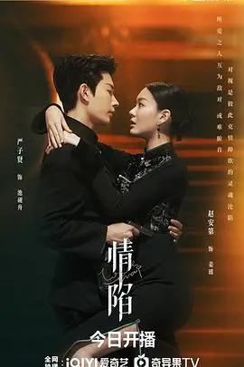 《情陷》：深宫爱恨，权欲交织！一场步步惊心的后宫生存游戏！