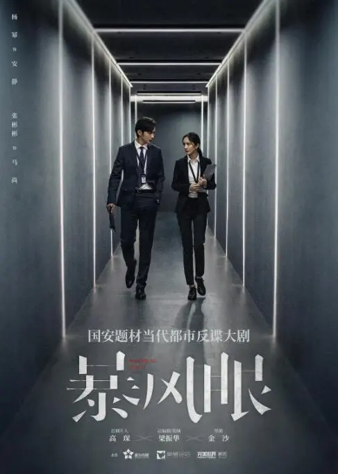 《暴风眼》影评：迷雾重重下的正义之光，一场惊心动魄的国安行动！