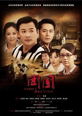 《团圆 2011》：看完感觉被狠狠砸了一拳，这动作片硬核到没朋友！